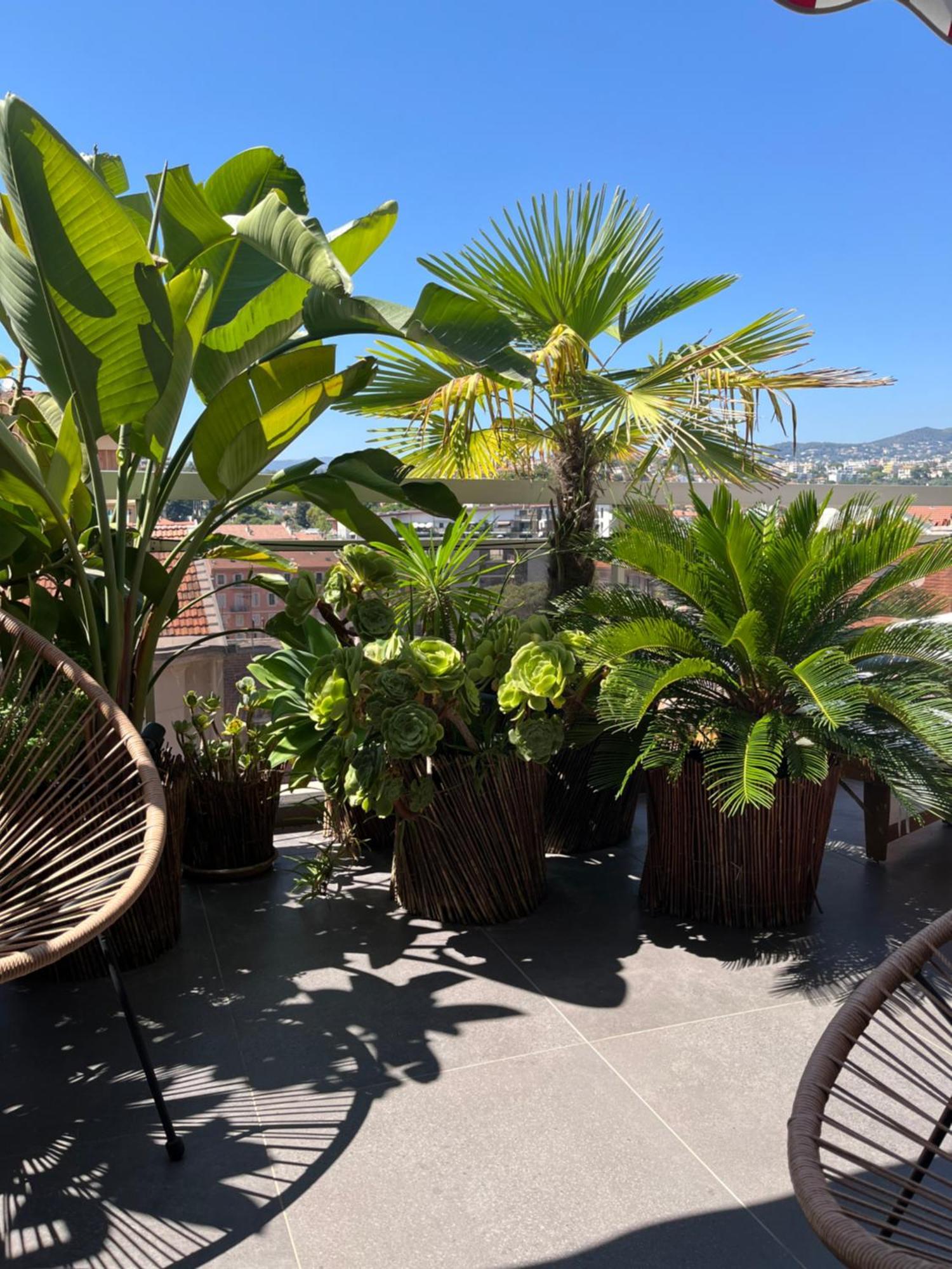 Splendide Penthouse Au Coeur De * Nizza